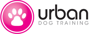 Urban Dog Training