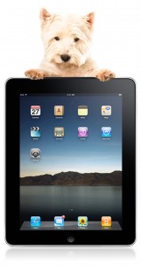 Vote for Urban Dog Training to WIN AN APPLE iPad!